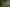 Multiple droplets of water sitting on a blade of grass in the sun